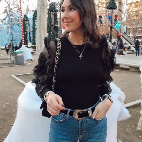 Zara Sweater with Organza Sleeves - Picture 4 of 8